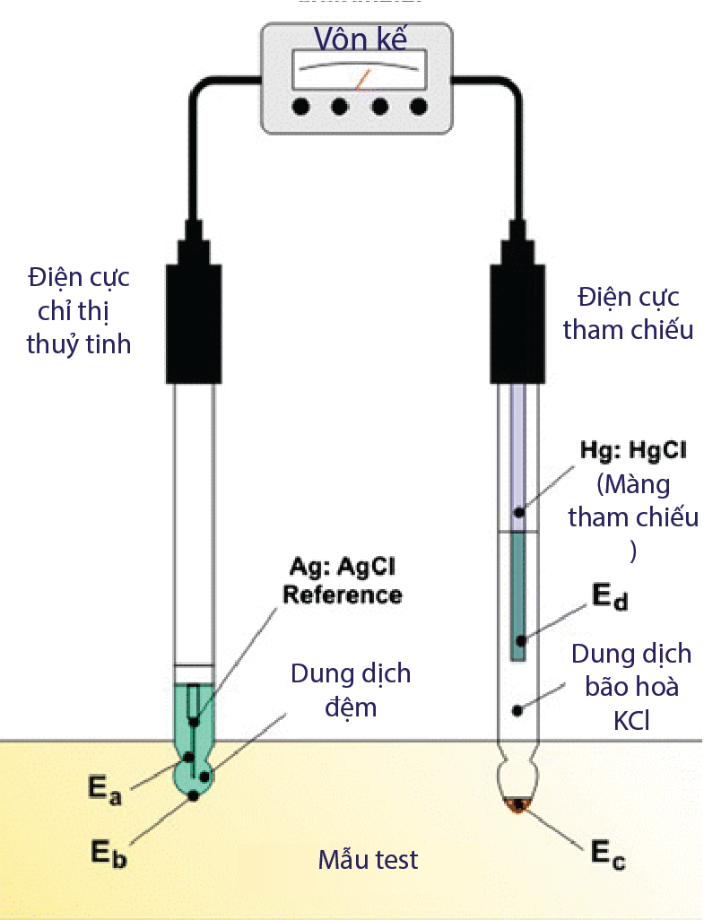 Nguyên lý hoạt động của máy đo pH